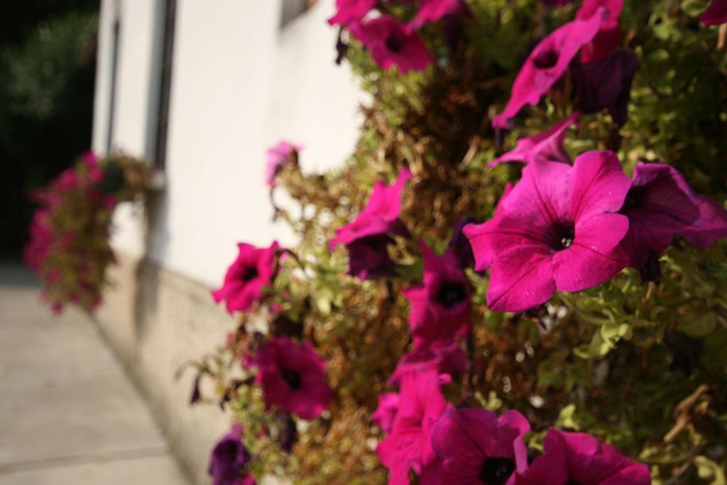 Corte Posta B&B Mântua Exterior foto